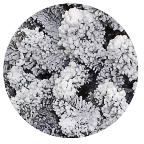 Ялинка штучна Yes! Fun h-1,80 м Альпійська засніжена (903921) арт: 903921-tp