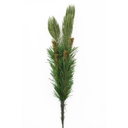 Ветка №2 Yes!Fun, зеленая (904237)