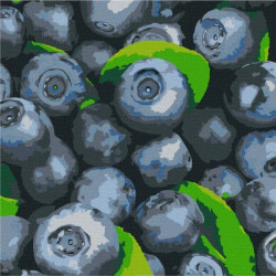 Картина по номерам Натюрморты. Сочная голубика, 25х25см, в термопакете, Идейка (КНО5650-mt)