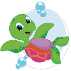 Картина по номерам Животные.  Ракушка, 30х30см, , с лаком, в термопакете, Strateg (ES073-mt)