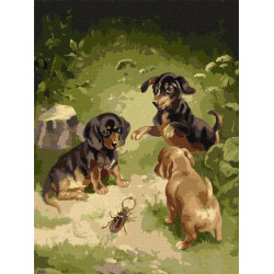 Картина по номерам Животные. Игры щенков, , 30х40см, в термопакете, Идейка (КНО4363-mt)