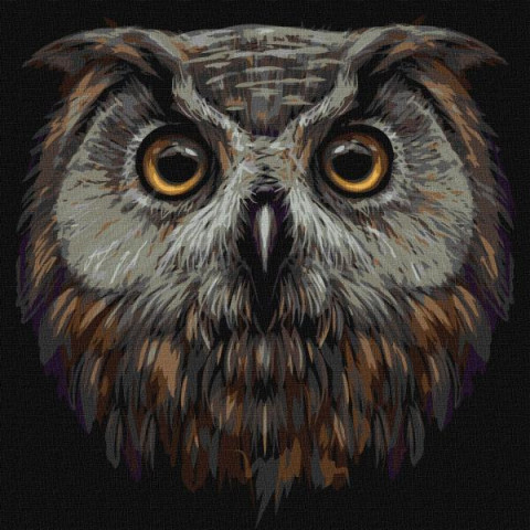 Картина за номерами Птахи. Птах мудрості, , 40х40см, в термопакеті, Идейка (КНО4388-mt)