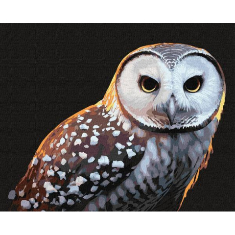 Картина за номерами Птахи. Гордий погляд, , 40х50см, в термопакеті, Идейка (КНО4395-mt)