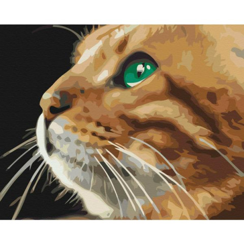 Картина за номерами Тварини. Погляд рижулі, , 40х50см, в термопакеті, Brushme (BS52377-mt)