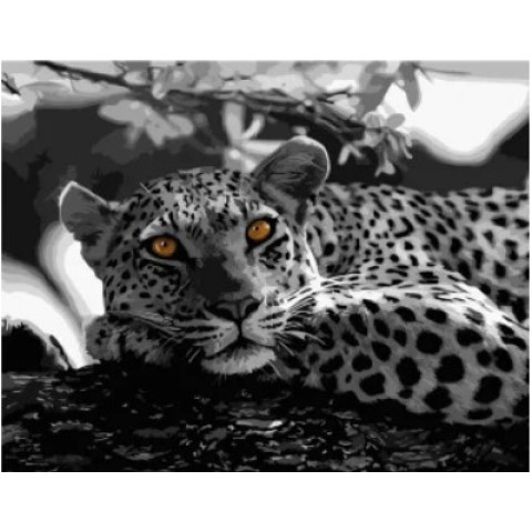 Картина за номерами Тварини. Очі леопарда, , 40х50см, в термопакеті, Strateg (DY008-mt)