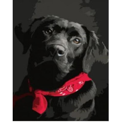 Картина по номерам Животные. Черный лабрадор, , 40х50см, в термопакете, Strateg (DY061-mt)