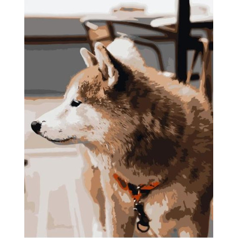 Картина за номерами Тварини. Погляд хаскі, , 40х50см, в термопакеті, Strateg (DY120-mt)