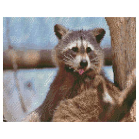 Алмазна мозаїка  Тварини. Єнотик, , 30х40см, полотно на підрамнику, Strateg (HX500-mt)