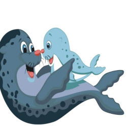 Картина по номерам Животные.  Морские котики, , 30х30см, в термопакете, Strateg (ES069-mt)