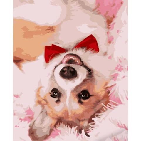 Картина за номерами Тварини. Коргі з краваткою, , 40х50см, в термопакеті, Strateg (HH012-mt)