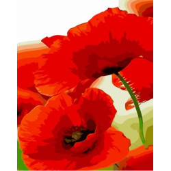 Картина по номерам Цветы. Маки, с лаком, 30х40см, в термопакете, Strateg (SS6805-mt)