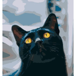 Картина по номерам Животные. Котик с желтыми глазами, 40х40см, в термопакете, Strateg (SK022-mt)