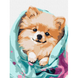 Картина по номерам Животные. Счастливый шпиц, 30х40см, термопакет, Идейка (КНО6545-mt)