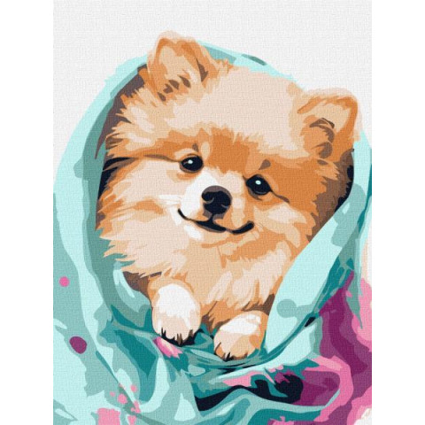 Картина по номерам Животные. Счастливый шпиц, 30х40см, термопакет, Идейка (КНО6545-mt)