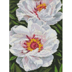 Набір з алмазною мозаїкою "Білі півонії" 30х40см