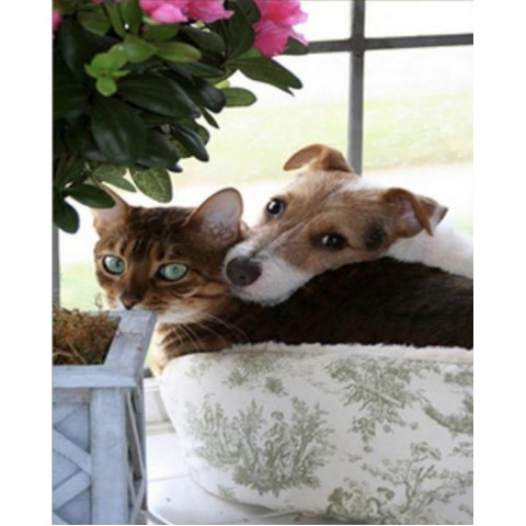 Набір для творчості алмазна картина Домашні улюбленці Strateg розміром 30х40 см кв (HEG86065)