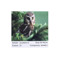 Алмазная мозаика по номерам 30*40 "Сова" карт уп. (холст на раме)