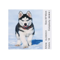 Алмазная мозаика по номерам 30*40 "Хаски" карт уп. (холст на раме)