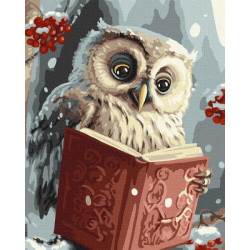 Картина за номерами Птахи. Розумна совушка, 40х50см, термопакет, Идейка (КНО6557-mt)