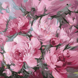 Картина по номерам Цветы. Пышный букет, 40х40см, в термопакете, Идейка (КНО3253-mt)