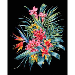 Картина по номерам Цветы. Экзотический букет, черный фон, 40х50см, в термопакете, Strateg (AH1050-mt)