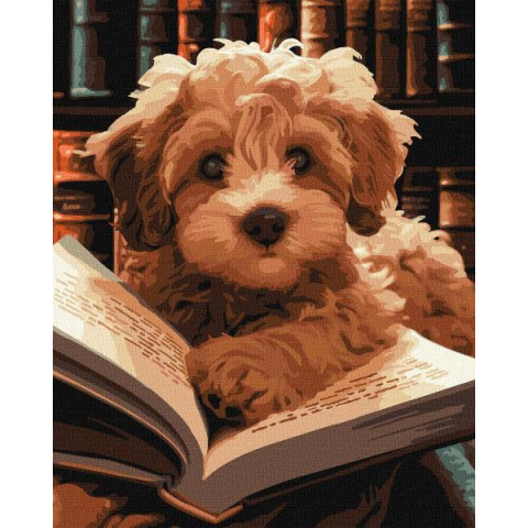 Картина за номерами Тварини. Пухнастий читач, 40х50см, в термопакеті, Идейка (КНО6587-mt)