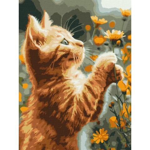 Картина по номерам Животные. Рыжий пушистик, 30х40см, в термопакете, Идейка (КНО6607-mt)