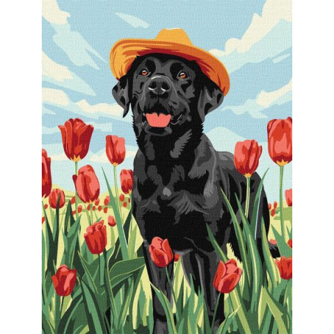 Картина за номерами Тварини. Чарівний лабрадор, 30х40см, в термопакеті, Идейка (КНО6621-mt)