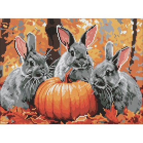 Набір з алмазною мозаїкою 