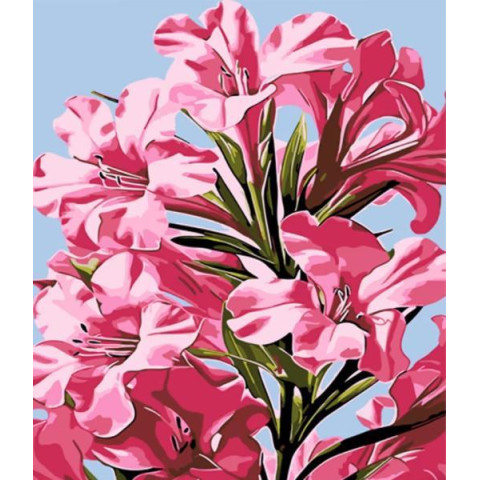 Картина за номерами Квіти. Рожеві мрії, 30х40см, в термопакеті, Strateg (LY03-mt)