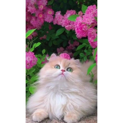 Набор для творчества алмазная картина Цветочный друг Strateg размером 30х40 см (HEG87036), арт: HEG87036-mt