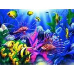 Алмазная мозаика по номерам 30*40 "Подводный мир" карт уп. (холст на раме)