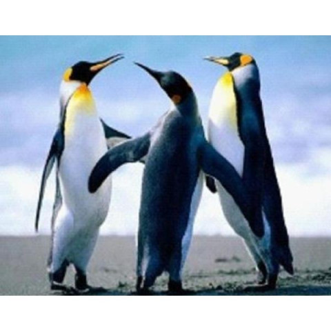 Алмазна мозаїка за номерами 30*40 