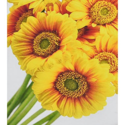 Набір для творчості алмазна картина Сонячні квіти Strateg розміром 30х40 см (HEG88145)