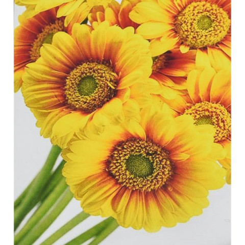 Набір для творчості алмазна картина Сонячні квіти Strateg розміром 30х40 см (HEG88145)