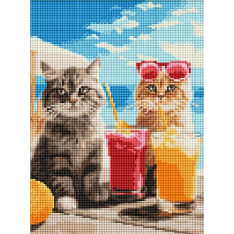 Набір з алмазною мозаїкою 