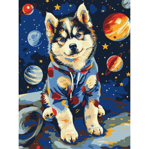 Набір для розпису по номерах 