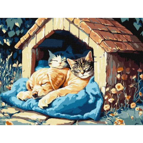 Набір для розпису по номерах 