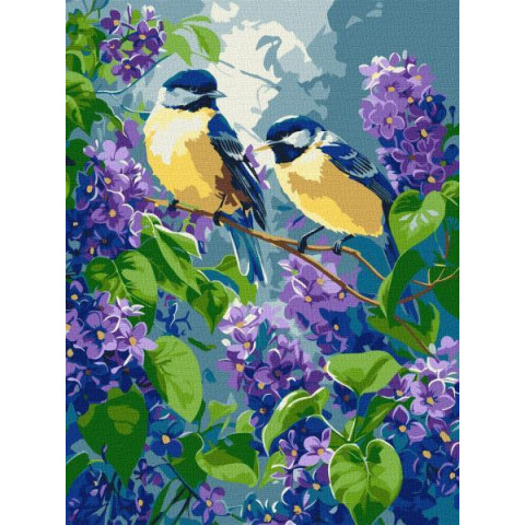 Набір для розпису по номерах 