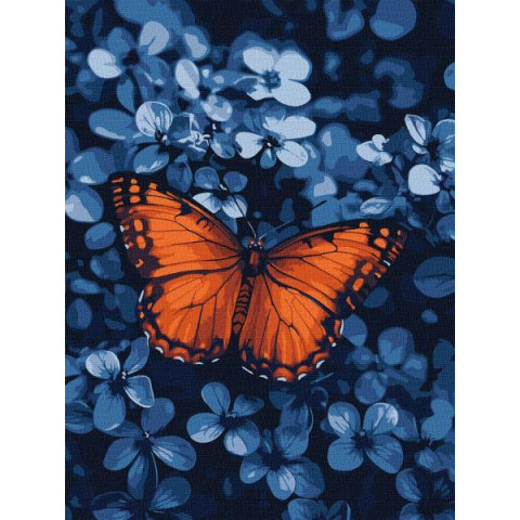 Набір для розпису по номерах 