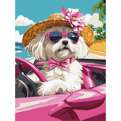 Набір для розпису по номерах 