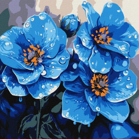 Набір для розпису по номерах 