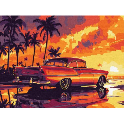 Набір для розпису по номерах 