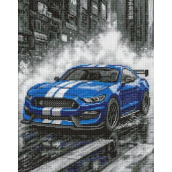 Набір з алмазною мозаїкою "Сині перегони" 40х50см