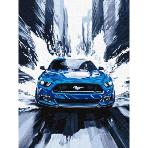 Набір для розпису по номерах 