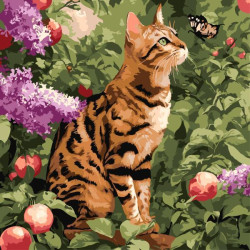 Набір для розпису по номерах "Бенгальський кіт" 40х40см