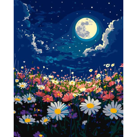 Набір для розпису по номерах 