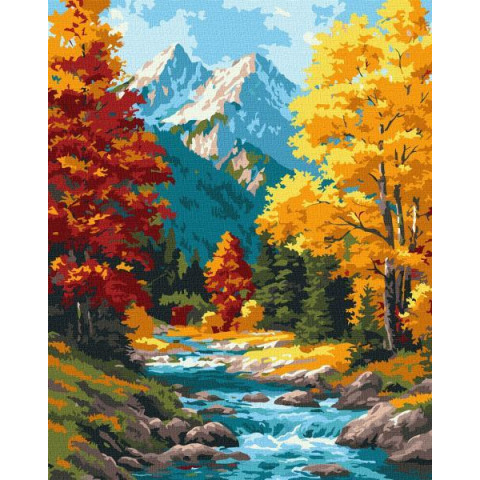 Набір для розпису по номерах 