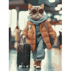 Набір для розпису по номерах "Стильний пасажир" 30х40см