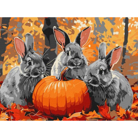 Набір для розпису по номерах. 